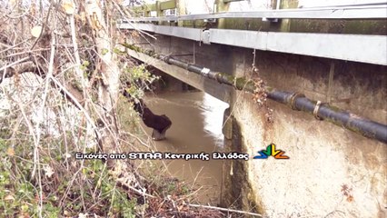 Συναγερμός για τη στάθμη του Σπερχειού στη Φθιώτιδα