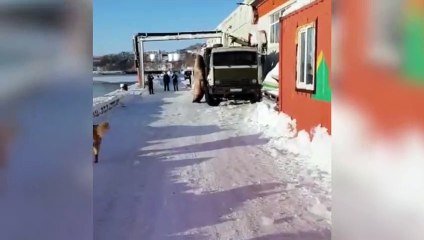 Un gigante ha olido pescado: león marino asalta un camión