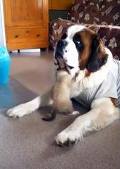 Lessons were learned that day