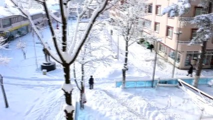 Karadeniz'de Kış ve Kar Etkisi ❄️