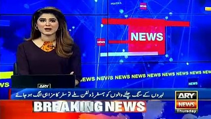 Dolphins jump out of the water with surfer