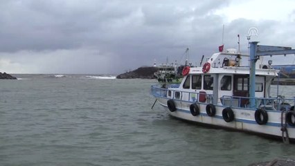 Hamsinin Kulağına Kar Suyu Kaçtı" - Düzce