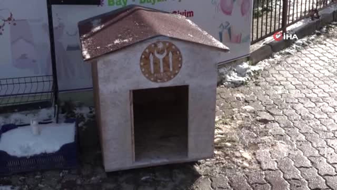 Sıfır Atık" Projesi ile Yapılan Yemlikler ve Hayvan Kulübeleri Sayesinde Sokak Hayvanları Rahat...