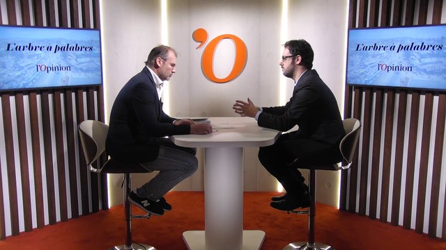 « Jacques Foccart a exporté en Afrique l'idée des gardes présidentielles », explique l’historien Jean-Pierre Bat