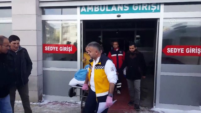 Köpeklerin saldırdığı kadın yaralandı (2) - KIRŞEHİR