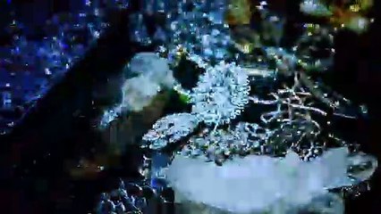 Alien Crystal Palace - Bande Annonce VF