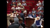 Un berger à l'Elysée  : Bande annonce