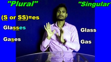 Learn English Grammer Day-17|| THE NOUN:- Number (Singular & Plural)