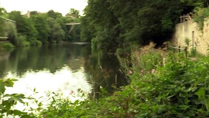 Fat and Skinny Shaming!