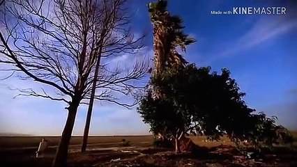 Cinnamon Chasers - remis Sex, How Tou love me Maps