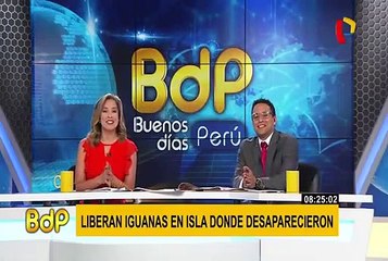 Este fue el tenso momento vivido por un pingüino para salvar su vida