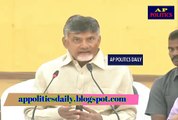 CM Chandrababu Interesting Comments on TDP Janasena Alliance - AP Politics Daily