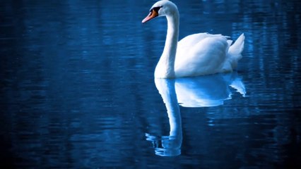 Mavi Rengin Anlamı ve Psikolojik Etkileri.