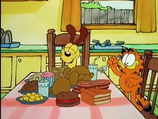 Garfield and Friends. S5E16