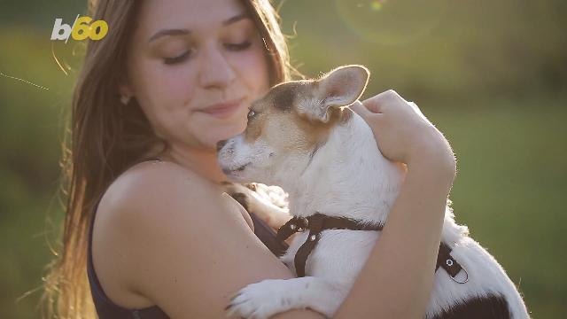 Pet Owners Set New Year's Resolutions for Their Furry Friends, Too