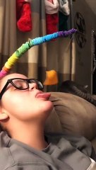 Corn Chips Make Great Doggy Bait