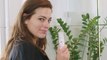 Watch Ashley Graham's 7-Minute Bible-to-Beauty Morning Routine