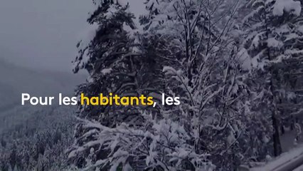 Routes bloquées, villages évacués... D'impressionnantes chutes de neige paralysent une partie de l'Autriche