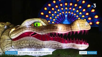 Paris : des animaux en voie d'illumination