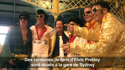 Elvis Express: les fans dans le train pour honorer le "King"
