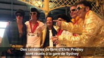 Elvis Express: les fans dans le train pour honorer le 