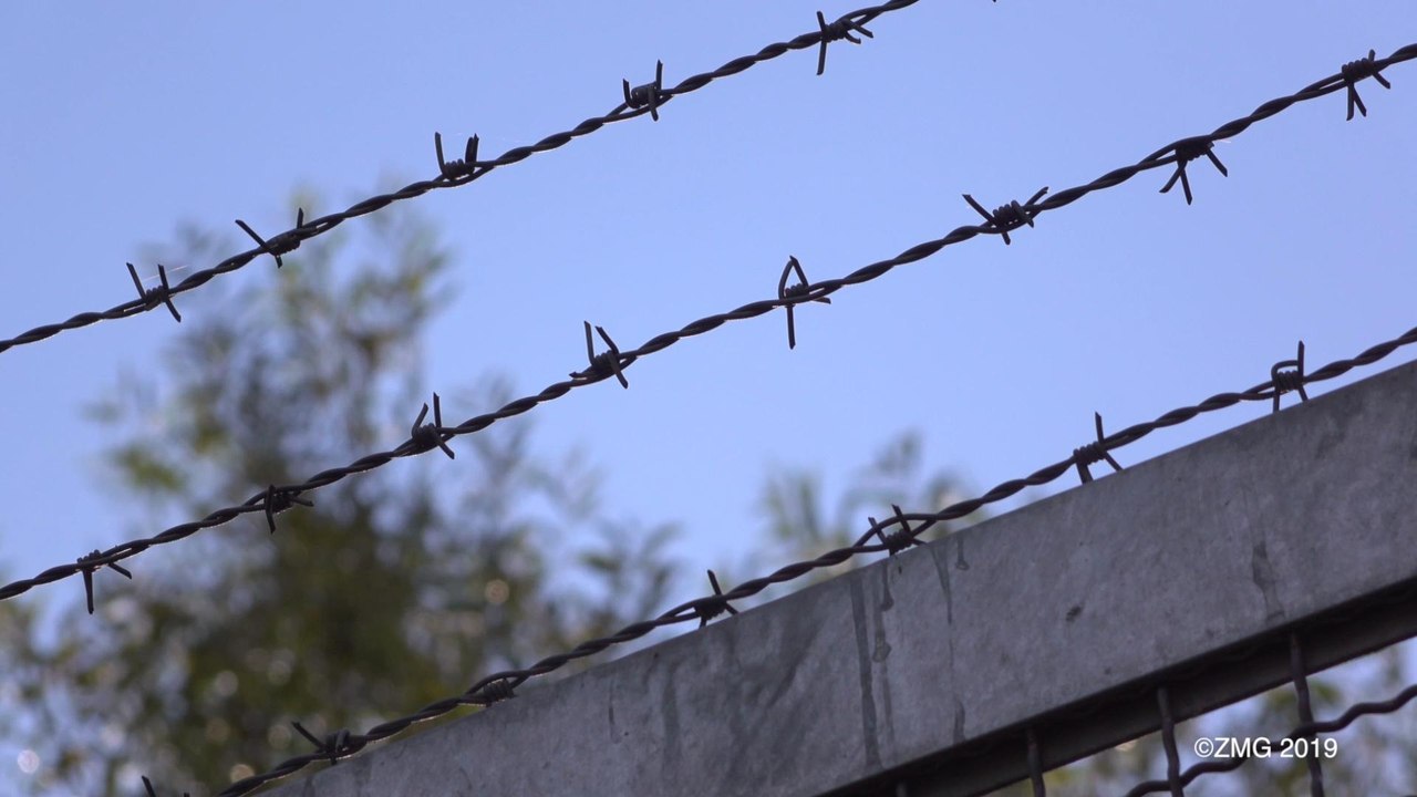 A Woman Broke Into a Police Station Looking for a Cop She Reportedly Wanted to Date