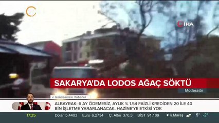 Sakarya'da lodos ağaç söktü