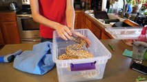 How to Remove Stuck Shed on Snakes