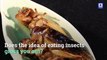 Eating Insects Could Save the Planet