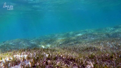 Our Oceans Have Absorbed The Equivalent of an A-Bomb Every Second for the Last 150 Years