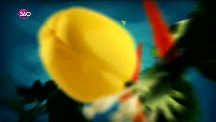 Tatlı Tuzlu - Nachos ve Narlı Turta - 10 01 2019