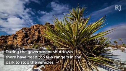 Government Shutdown Causes Joshua Tree National Park to Close
