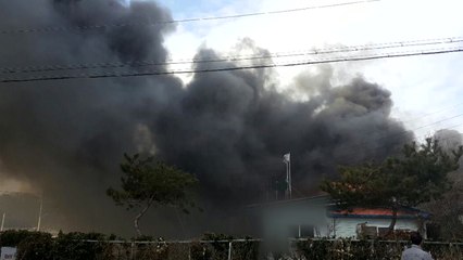한약재 제조공장 불 12억 피해...성범죄자 '전자발찌' 끊고 도주 / YTN