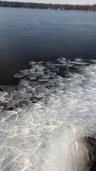 Ice Shards on the Shore