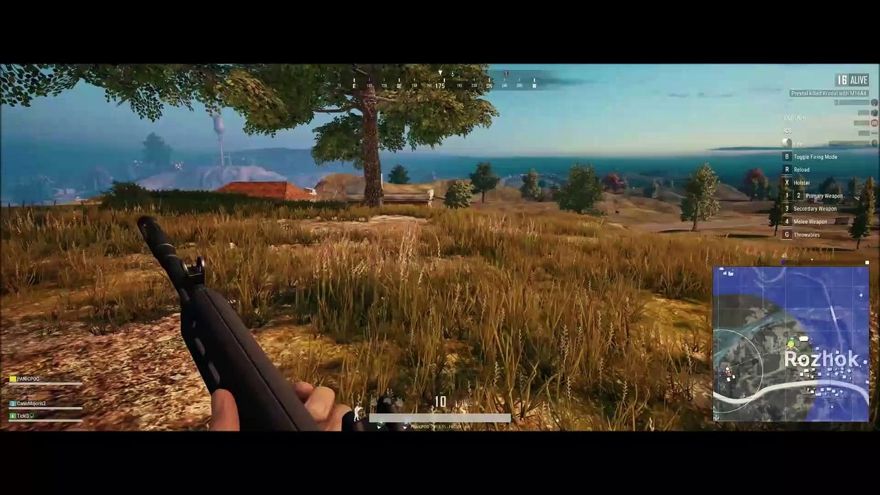 Winner Winner Chicken Dinner