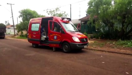 Menino de 10 anos despenca de árvore e fica ferido