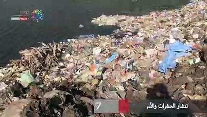 انتشار الحشرات والأمراض بـ"أبو فرج" ببنها بسبب القمامة