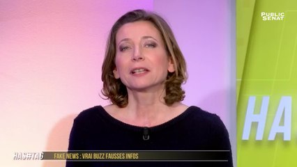 Fake News : Vrai buzz Fausses infos - Hashtag (10/01/2019)