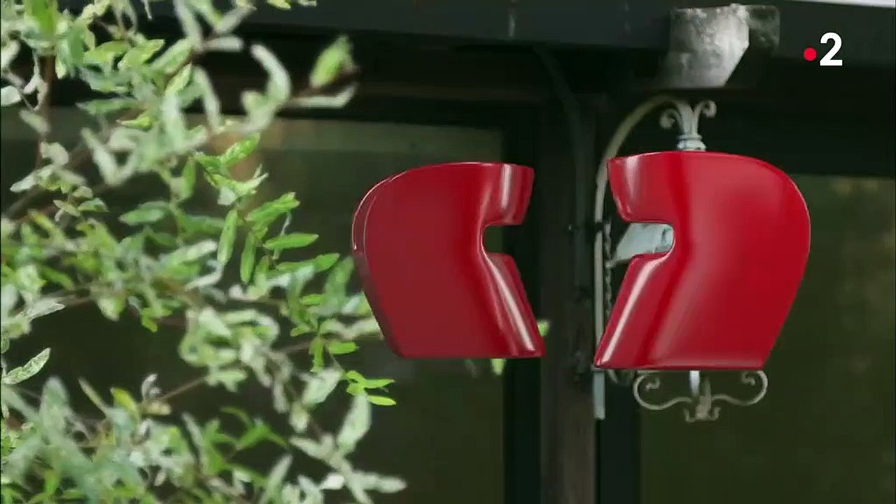 Langues de belles-mères