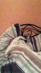 Rabye Bouden 2019 hhhhhh RADOUHA CAUCHEMAR EL BLED