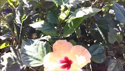 The Inspiration of Life - Beauty of Nature to Motivate You - Spreading Love - Plans for the Weekend with Vanja, David and Jeronimo