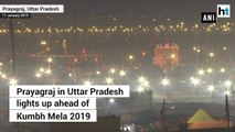 Kumbh Mela 2019: Prayagraj lights up ahead of the event