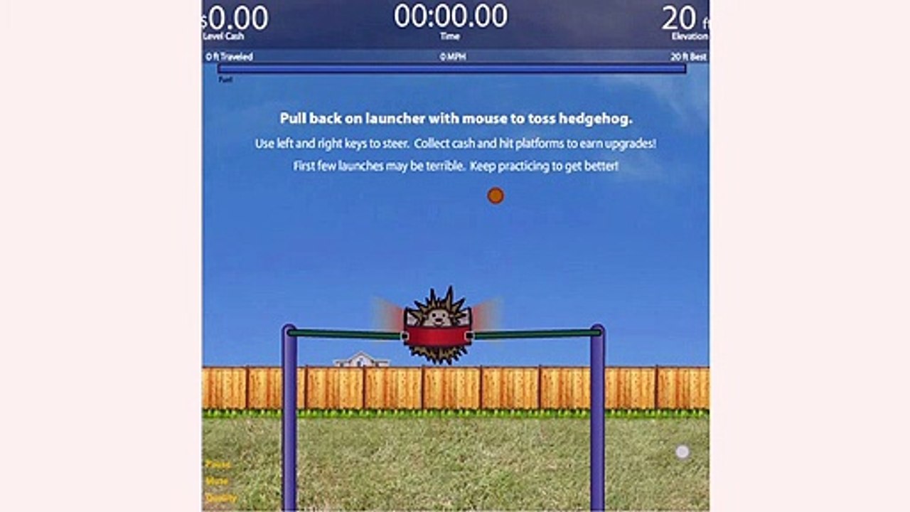 Hedgehog Launch - The Best Animal Flying Game