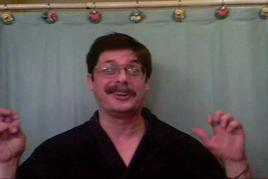 1033. HOW FAR CAN A CHICKEN FLY ?