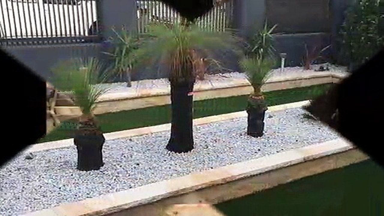 Landscaping Sydney