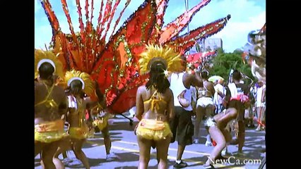 2008 The Caribana Toronto Festival (SD)