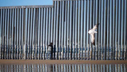 Trump will Mauer statt Hochwasserschutz