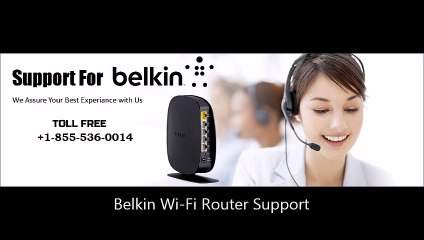 Importance Of Belkin Support