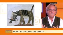 D'art et d'actu : Les chats - L'info du vrai du 10/01 - CANAL 