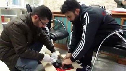 Yavru kediyi donmaktan kurtardı